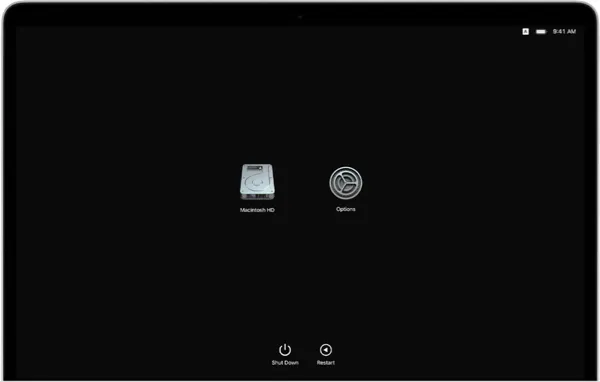 Boot an Apple silicon Mac to Recovery Mode